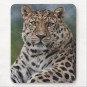 Leopard Thoughts Mousemat Mousepad (Vorne)