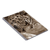 Leopard, Tier, Safari Notizblock (Rechte Seite)