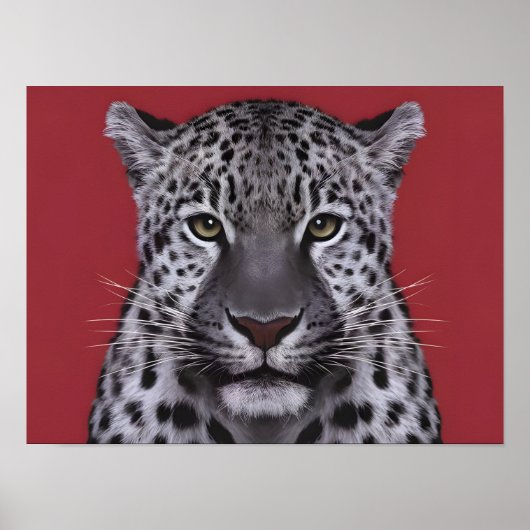 Leopard Tiergesicht im kinematischen Stil. Poster (Vorne)