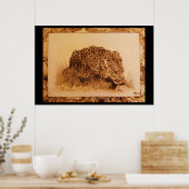 Leopard trinken von Erik Brush Poster (Küche)