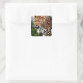 Leopard über das Coole Tierdesign von Prowl Quadratischer Aufkleber (Tasche)