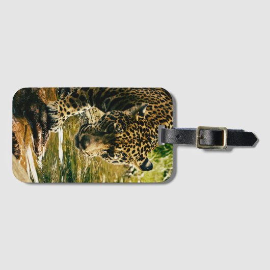 Leopard überquert ein Stream-Foto Gepäckanhänger (Vorderseite (Horizontal))