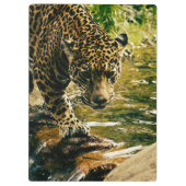 Leopard überquert ein Stream-Foto Klemmbrett (Rückseite)