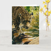 Leopard überquert einen Bach Fotografie Karte (Gelbe Blume)