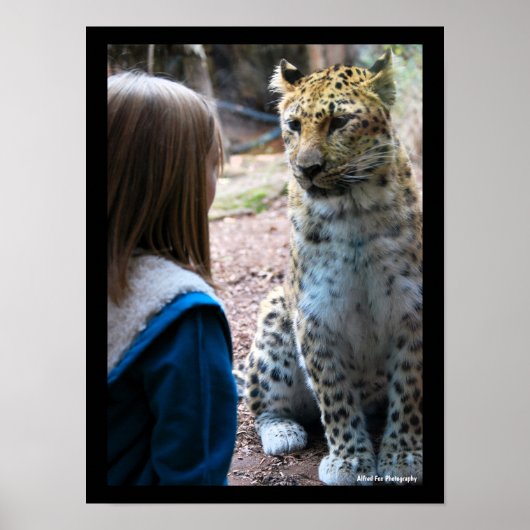 Leopard und Kind Poster (Vorne)