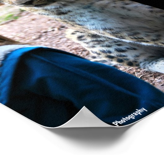 Leopard und Kind Poster (Ecke)