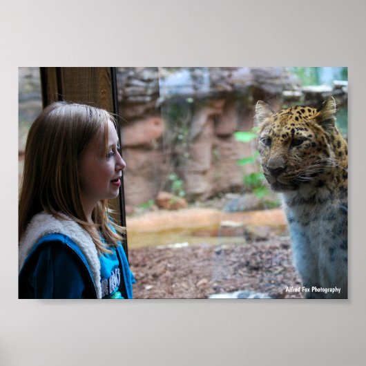 Leopard und Kinderporträt Poster (Vorne)