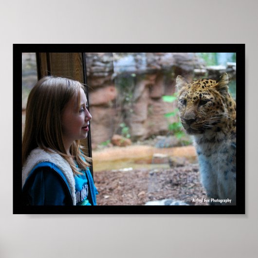 Leopard und Kinderporträt Poster (Vorne)