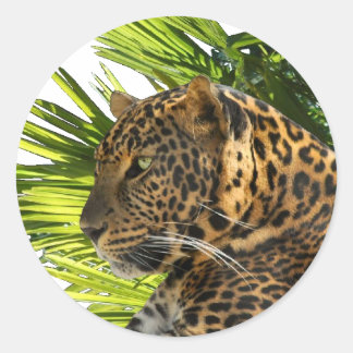 LEOPARD UND PALMS RUNDER AUFKLEBER