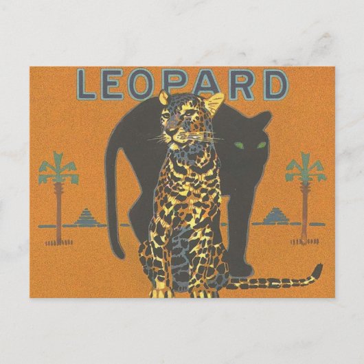 Leopard und Panther Postkarte (Vorderseite)