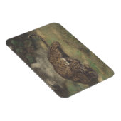Leopard und Serpent Magnet (Rechte Seite)