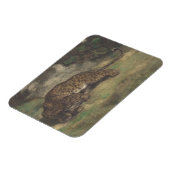 Leopard und Serpent Magnet (Linke Seite)