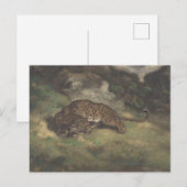 Leopard und Serpent Postkarte (Vorne/Hinten)