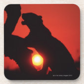 Leopard Untersetzer (Vorderseite)