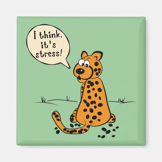 Leopard verliert Punkte - ich denke, es ist Stress Magnet (Vorne)