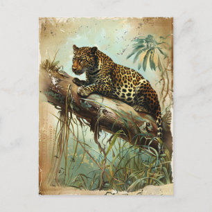 Leopard Vintag Postkarte