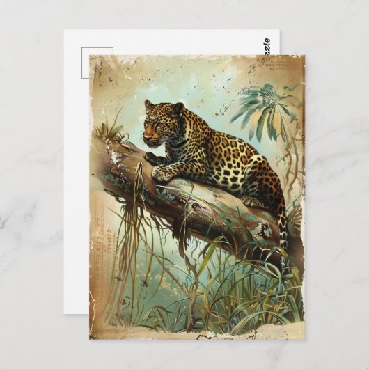 Leopard Vintag Postkarte (Vorne/Hinten)