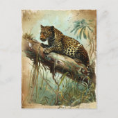 Leopard Vintag Postkarte (Vorderseite)