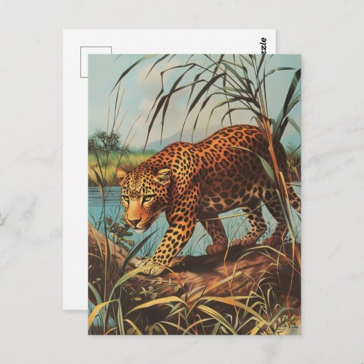 Leopard Vintag Postkarte (Vorne/Hinten)