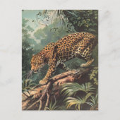 Leopard Vintag Postkarte (Vorderseite)