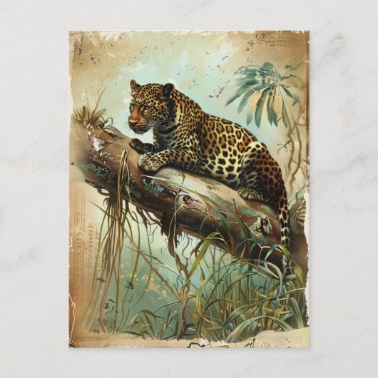 Leopard Vintage Postkarte (Vorderseite)