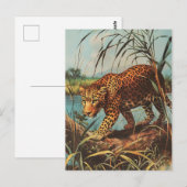 Leopard Vintage Postkarte (Vorne/Hinten)