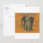 Leopard Vintage Postkarte (Vorne/Hinten)
