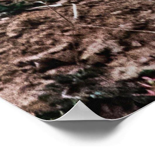 LEOPARD WALKING POSTER (Ecke)