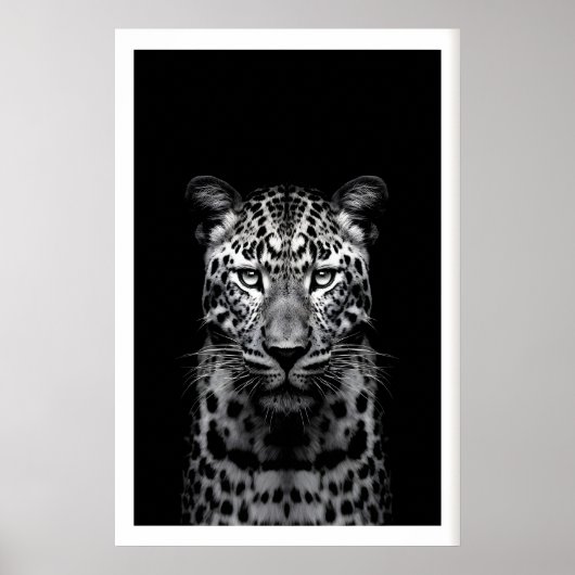 Leopard-Wandkunst Schwarz-Weiß-Fotografie Poster (Vorne)