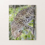 Leopard Washing Wild Animal Foto Puzzle (Vertikal)