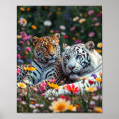Leopard/White Tiger Poster (Vorne)
