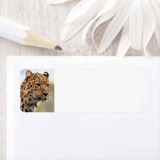 Leopard Wild Cats (Insitu)