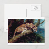 leopard wilde cat tierisches antikes Gemälde Postkarte (Vorne/Hinten)