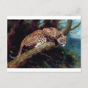 leopard wilde cat tierisches antikes Gemälde Postkarte