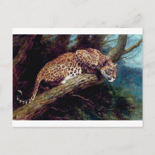 leopard wilde cat tierisches antikes Gemälde Postkarte (Vorderseite)