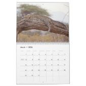 Leopard Wildtier Kalender (Mär 2026)