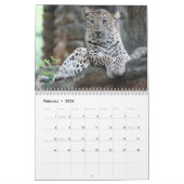Leopard Wildtier Kalender (Feb 2026)