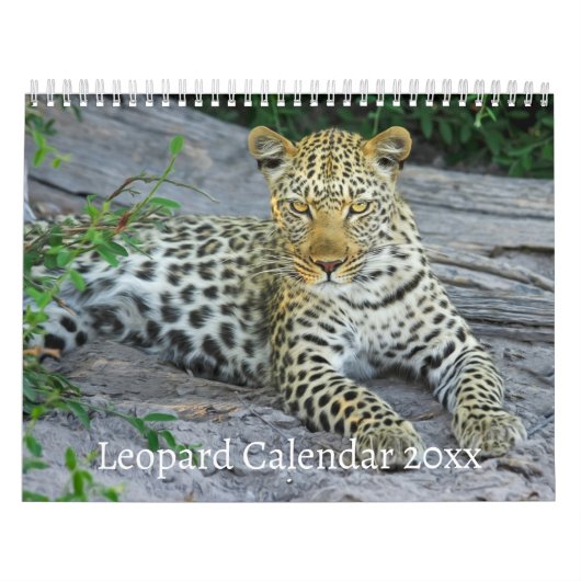 Leopard Wildtier Kalender (Titelbild)