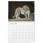 Leopard Wildtier Kalender (Jan 2027)
