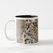 Leopard Zweifarbige Tasse (Links)