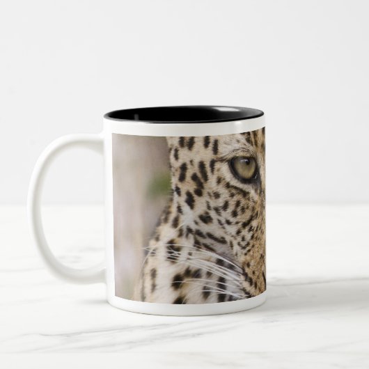 Leopard Zweifarbige Tasse (Links)