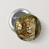 LeopardCheetaro013 Button (Vorne & Hinten)