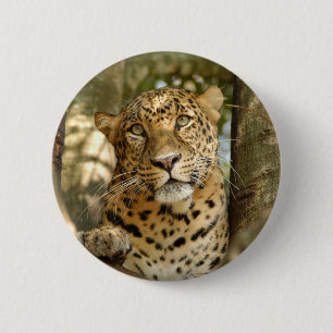 LeopardCheetaro013 Button
