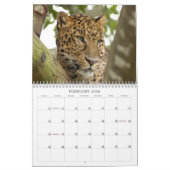 LeopardCheetaro013, Leopard Cheetaro Kalender (Feb 2026)