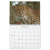 LeopardCheetaro013, Leopard Cheetaro Kalender (Mär 2026)