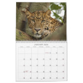 LeopardCheetaro013, Leopard Cheetaro Kalender (Jan 2026)