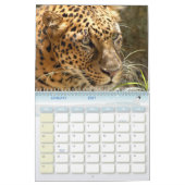 LeopardCheetaro013, Leopard Kalender (Jan 2027)