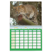 LeopardCheetaro013, Leopard Kalender (Mär 2027)