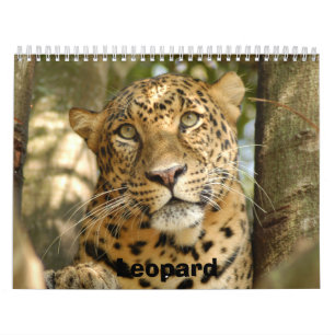 LeopardCheetaro013, Leopard Kalender