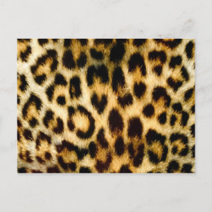 Leoparddruck Postkarte